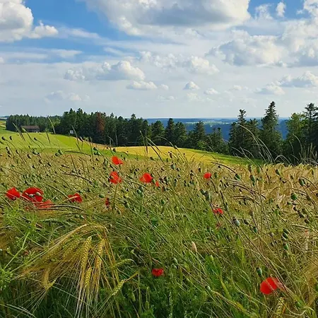 Kleine Holzhuette Im Garten Ubytování v soukromí Schopfloch (Freudenstadt)
