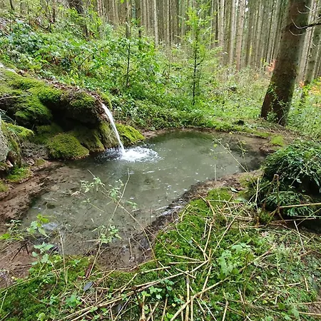 Kleine Holzhuette Im Garten Ubytování v soukromí Schopfloch (Freudenstadt)