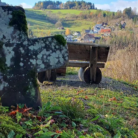 Ubytování v soukromí Kleine Holzhuette Im Garten Schopfloch (Freudenstadt)